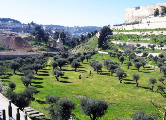 Obnova Božieho kráľovstva