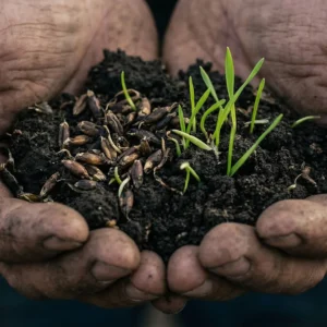 preco-jezis-neprisiel-naplnit-nase-sny-optikaviery.sk Prečo Ježiš neprišiel naplniť naše sny